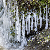 Buy canvas prints of Frost and small icicles on a stone in the river. Spring thaw. by Lubos Chlubny