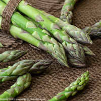 Buy canvas prints of Raw garden asparagus stems. Fresh green spring vegetables on wooden background. (Asparagus officinalis). by Lubos Chlubny