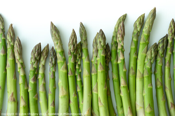Fresh asparagus officinalis isolated on white background Picture Board by Lubos Chlubny