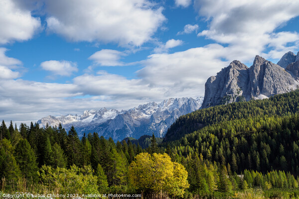 Panoramic view of the famous peaks of the Dolomites, Belluno Pro Picture Board by Lubos Chlubny