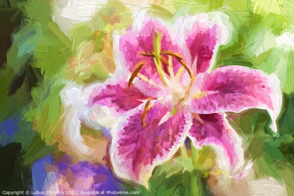 Oil painting Lily pink flower  Picture Board by Lubos Chlubny