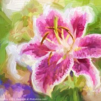 Buy canvas prints of Oil painting Lily pink flower  by Lubos Chlubny