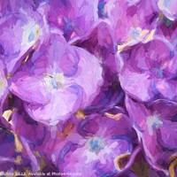 Buy canvas prints of Oil painting Blue hydrangea flowers by Lubos Chlubny