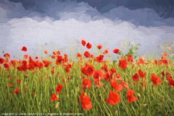 Oil painting summer landscape - field of poppies. Original oil painting on canvas. Picture Board by Lubos Chlubny