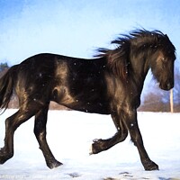 Buy canvas prints of Oil painting foal Friesian horse running in the snow by Lubos Chlubny