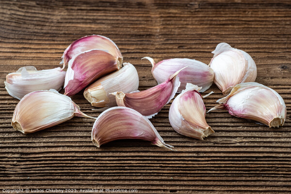 Garlic on dark rustic wooden background. Picture Board by Lubos Chlubny