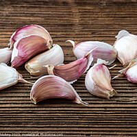 Buy canvas prints of Garlic on dark rustic wooden background. by Lubos Chlubny