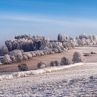 Buy canvas prints of Winter landscape with frozen trees in field and blue sky by Lubos Chlubny