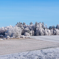 Buy canvas prints of Winter landscape with trees covered with hoarfrost by Lubos Chlubny
