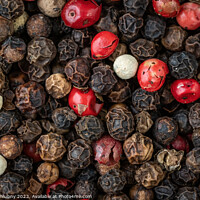 Buy canvas prints of Mixed peppercorns background. Different colored peppercorns by Lubos Chlubny