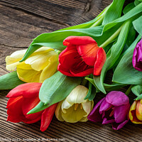 Buy canvas prints of Colorful tulips on wooden table by Lubos Chlubny