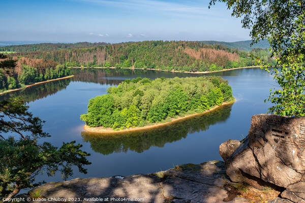 Lake and island with trees. Water reservoir Sec, Czech Republic, Europe Picture Board by Lubos Chlubny