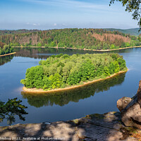 Buy canvas prints of Lake and island with trees. Water reservoir Sec, Czech Republic, Europe by Lubos Chlubny