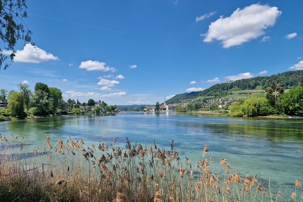 Scenic view of the Rhine River in Stein Am Rhein, Schaffhausen, Switzerland Picture Board by Irena Chlubna