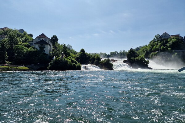 View of Rhine falls (Rheinfalls).The famous rhine falls in the swiss near the city of Schaffhausen Picture Board by Irena Chlubna