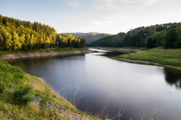 A body of water surrounded by trees in the Czech R Picture Board by Irena Chlubna