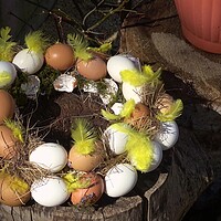 Buy canvas prints of Easter composition made from colored chicken eggs. Easter eggshell wreath. by Irena Chlubna