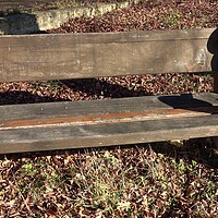 Buy canvas prints of Wooden park bench in nature. Wooden bench has a backrest by Irena Chlubna