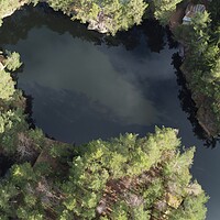 Buy canvas prints of Lake surrounded by trees. Beautiful landscape in aerial drone shot. by Irena Chlubna
