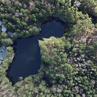 Buy canvas prints of Lake surrounded by trees. Beautiful landscape in aerial drone shot. by Irena Chlubna