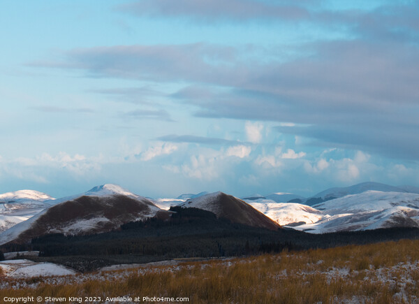 Winter Wonderland in Scottish Borders Picture Board by Steven King