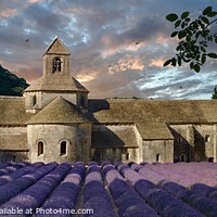 Buy canvas prints of The truly magical Senanque Abbey surrounded by flowering lavender by Paul E Williams