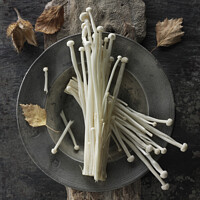 Buy canvas prints of Photo of the facinating Straw like Enoki Mushrooms  by Paul E Williams