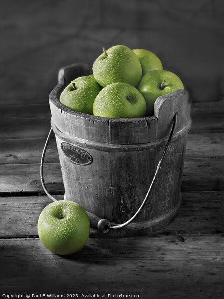 Delicious Apples Fresh Picked green Granny Smith apples in a Woo Picture Board by Paul E Williams