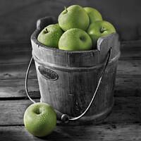 Buy canvas prints of Delicious Apples Fresh Picked green Granny Smith apples in a Woo by Paul E Williams