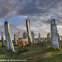 Buy canvas prints of The Picturesque Amazing Callanish Stones Isle of Lewis Sunrise by Paul E Williams