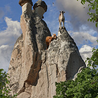 Buy canvas prints of View of Goats on a Spectacular  Fairy Chimney Rock Formations in by Paul E Williams