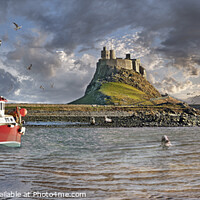 Buy canvas prints of The Small Harbour, Seals & the Picturesque Lindisfarne Castle  by Paul E Williams