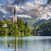 Buy canvas prints of The Picturesque Island Church in Lake Bled with Alpine peaks beh by Paul E Williams