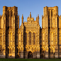 Buy canvas prints of Wells Cathedral in Early Morning Light by Jean Gilmour