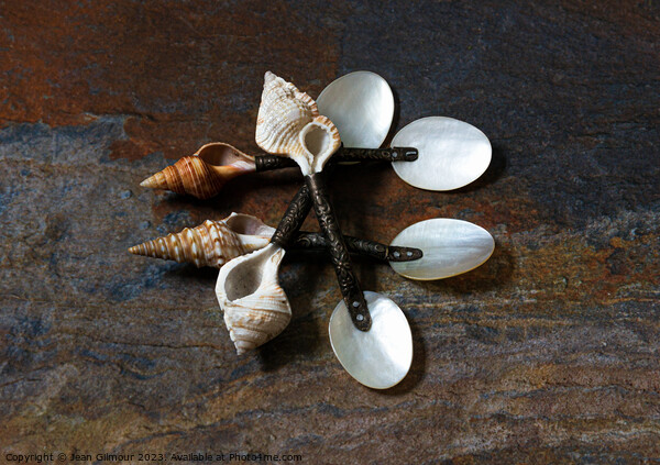 Shell Spoons Picture Board by Jean Gilmour
