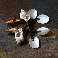 Buy canvas prints of Shell Spoons by Jean Gilmour