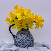 Buy canvas prints of Jug of Daffodils  by Jean Gilmour