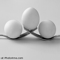 Buy canvas prints of Eggs on Forks by Jean Gilmour