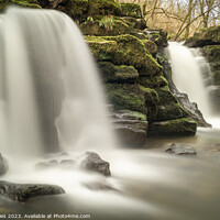 Buy canvas prints of Discover the Magic of Clydach Gorge by Jeff Davies