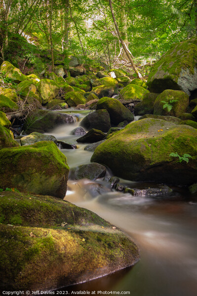 Padley Gorge's Serene Waterscape Picture Board by Jeff Davies