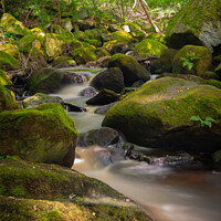 Buy canvas prints of Padley Gorge's Serene Waterscape by Jeff Davies