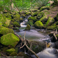 Buy canvas prints of Enchanted Padley Gorge Serenity by Jeff Davies
