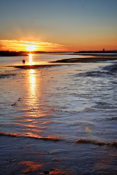 Sun setting over Brightlingsea Harbour  Picture Board by Tony lopez