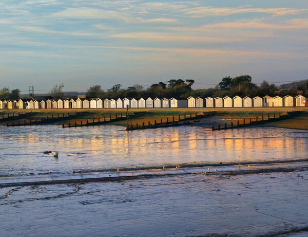 Sunrise over the prom in Brightlingsea essex  Picture Board by Tony lopez