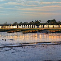 Buy canvas prints of Sunrise over the prom in Brightlingsea essex  by Tony lopez