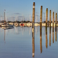 Buy canvas prints of Mooring posts at the Brightlingsea hard.  by Tony lopez