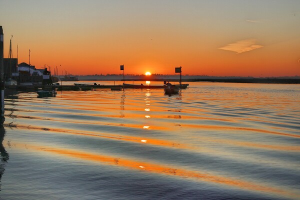 Sunrise over Brightlingsea Harbour in Essex  Picture Board by Tony lopez