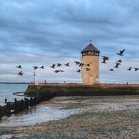 Buy canvas prints of Fly past across Batemans tower Brightlingsea  by Tony lopez