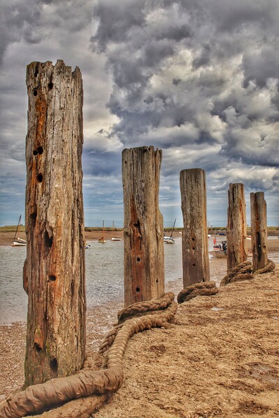 Burnham Overy Staithes Harbour mooring posts Picture Board by Tony lopez