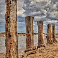 Buy canvas prints of Burnham Overy Staithes Harbour mooring posts by Tony lopez
